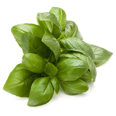 Demet fesleğen bitki yaprakları 