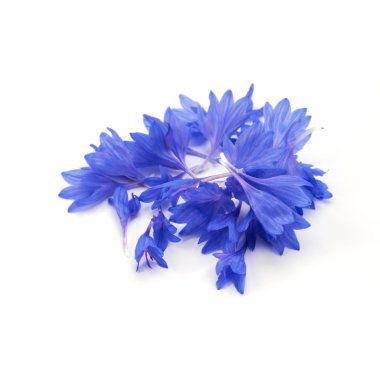 Mavi Peygamber Çiçeği bitki yaprakları 