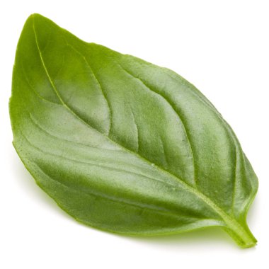 Fesleğen bitki yaprak