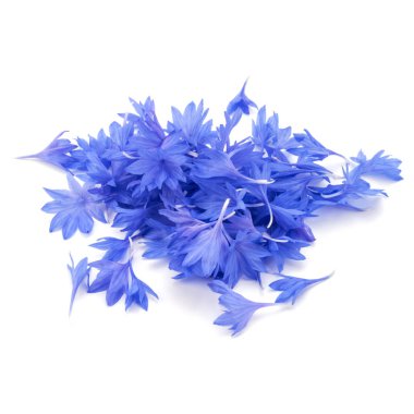 Mavi Peygamber Çiçeği bitki yaprakları 