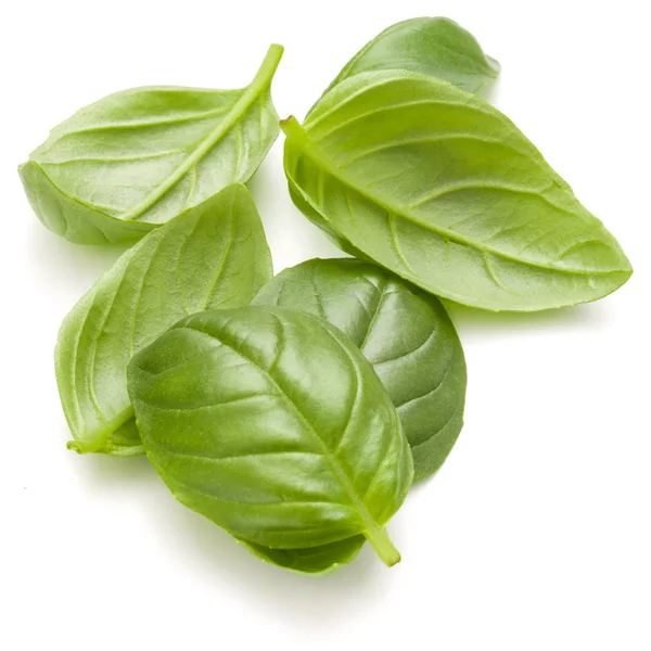 Sweet basil herb leaves — Stock Photo, Image