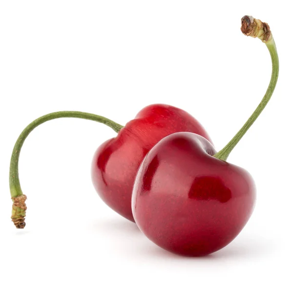 Sweet cherry bobule — Stock fotografie