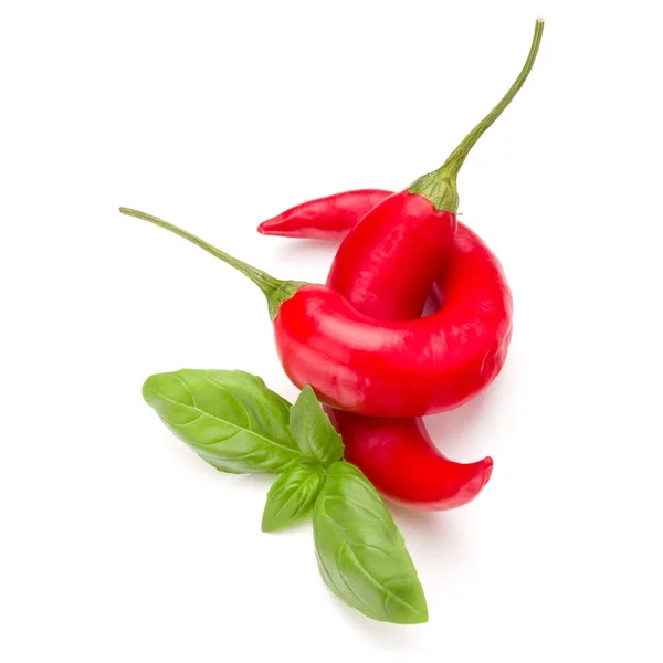 Red chili or chilli cayenne peppers — Stock Photo, Image