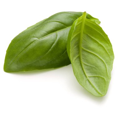 Fesleğen bitki yaprakları