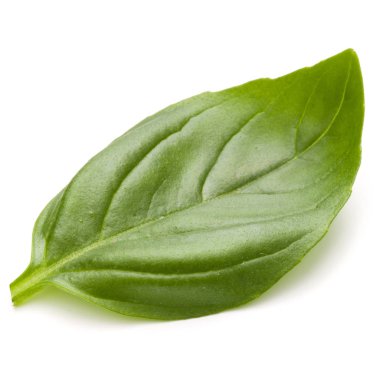 Fesleğen bitki yaprak