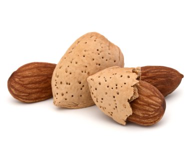 badem fındık izole 