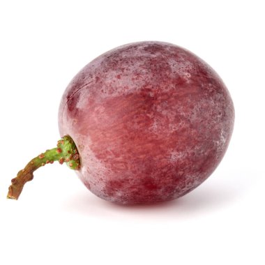 Kırmızı üzüm berry 