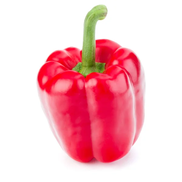 Jedna sladká paprika — Stock fotografie