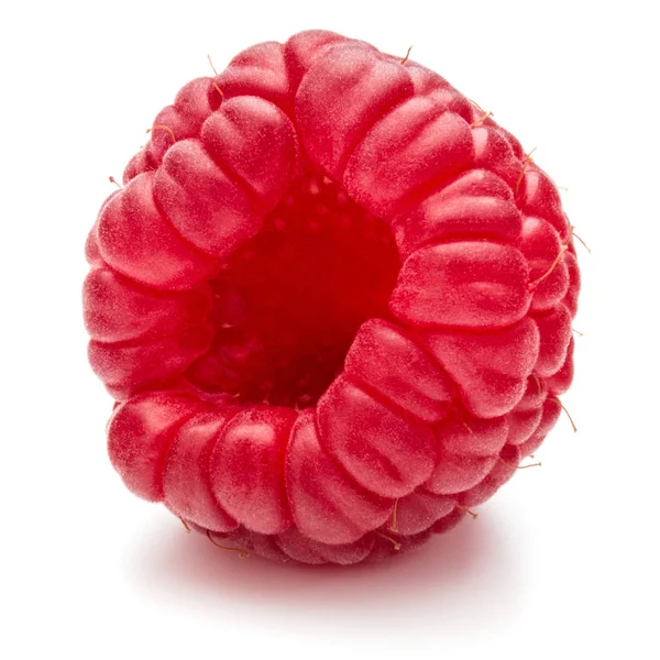 Ripe raspberry isolated — Stock Photo, Image