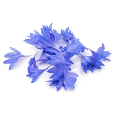 Mavi Peygamber Çiçeği Herb