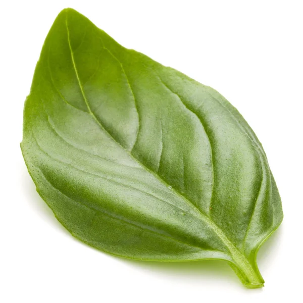 Fesleğen bitki yaprak