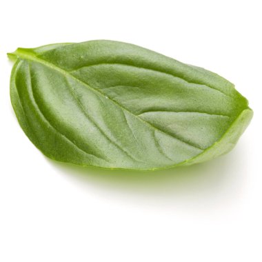 Fesleğen bitki yaprak