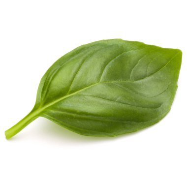 Fesleğen bitki yaprak