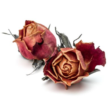 kurutulmuş gül çiçek başları