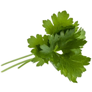 taze maydanoz bitki yaprakları