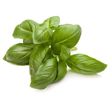 Fesleğen bitki yaprakları 