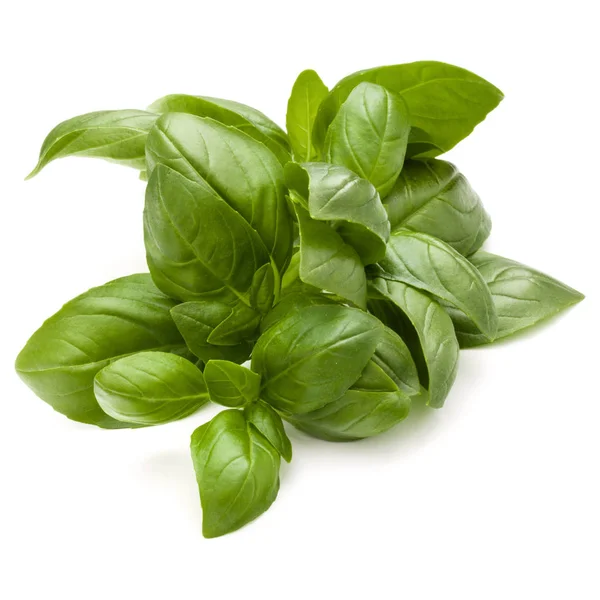 Sweet basil herb leaves — Stock Photo, Image