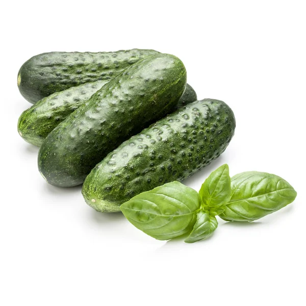 Komkommers plantaardige geïsoleerd — Stockfoto