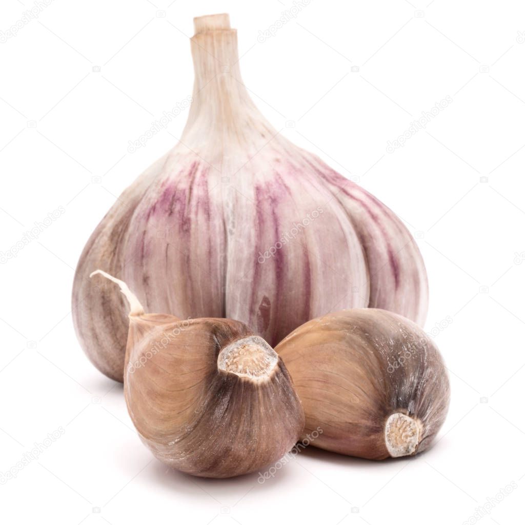 garlic cloves isolated on white 