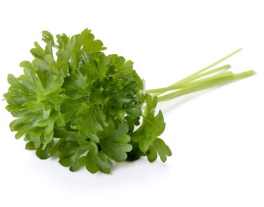 taze maydanoz bitki yaprakları