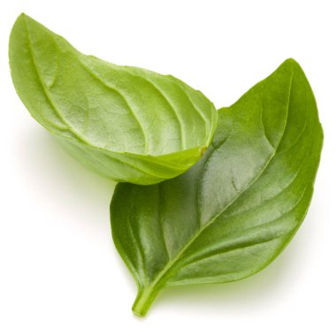 Fesleğen bitki yaprakları