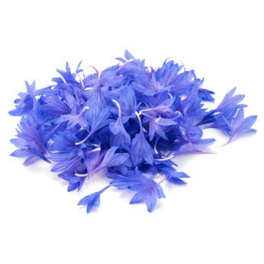 Mavi Peygamber Çiçeği Herb