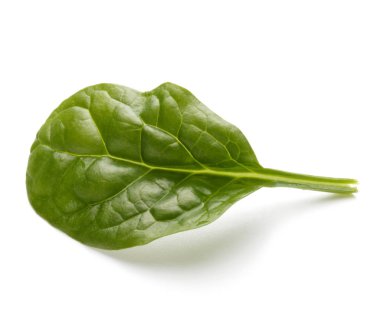 Bebek ıspanak yaprağı