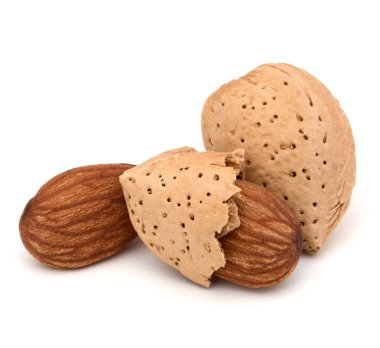 Kabuk ve kabuklu badem fındık