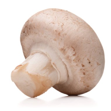 Champignon mantar yakın çekim