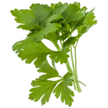 taze maydanoz bitki yaprakları