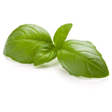 Fesleğen bitki yakın bırakır