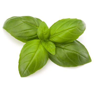 Fesleğen bitki yakın bırakır