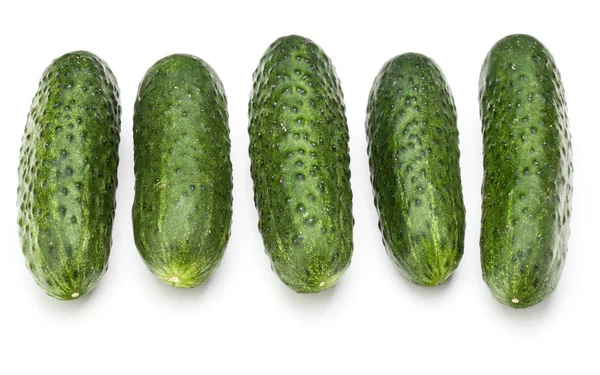 Cucumbers on white background — Stock Photo, Image