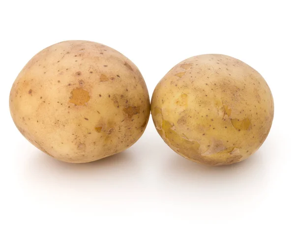 Tuberi di patata nuovi — Foto Stock