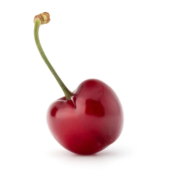 Sweet cherry berry close up — Stock Photo, Image