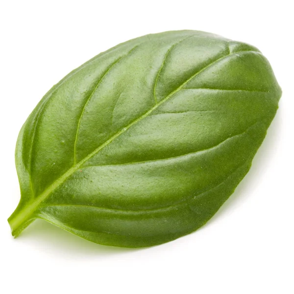 Fesleğen yaprak yakın çekim