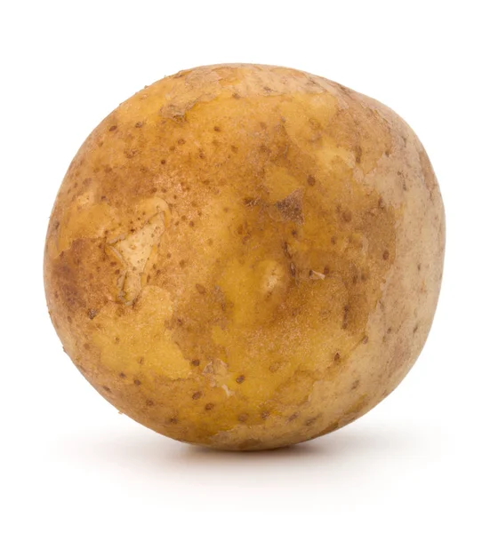 Tubero di patata nuovo — Foto Stock
