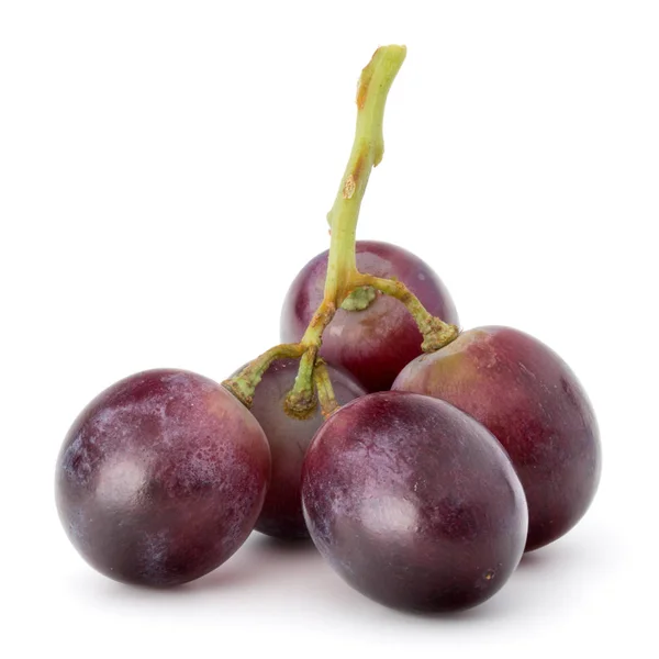 Red grape berry bunch — Stock Photo, Image