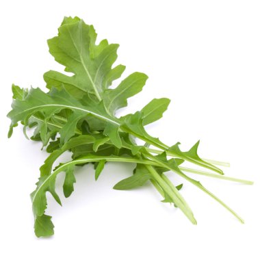 Yeşil taze ruccola yaprakları