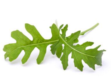 Yeşil taze ruccola yaprakları