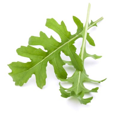 Yeşil taze ruccola yaprakları