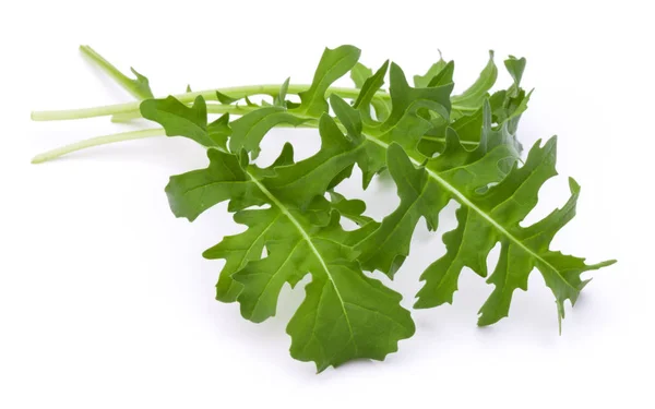 Foglie di rucola fresca verde — Foto Stock