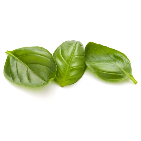 3 녹색 바 질 허브 잎 — 스톡 사진
