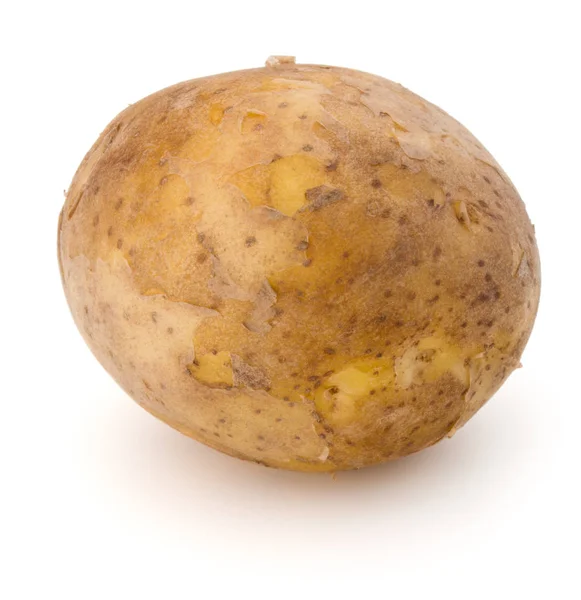 Новый картофельный клубень — стоковое фото