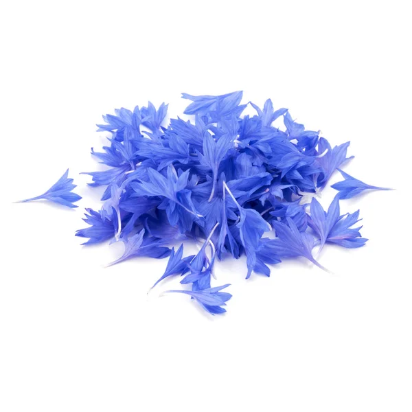 파란 수레 국화 허브 꽃잎 — 스톡 사진