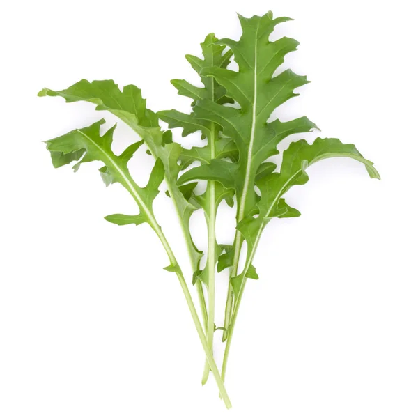 Foglie verdi di ruccola fresca — Foto Stock