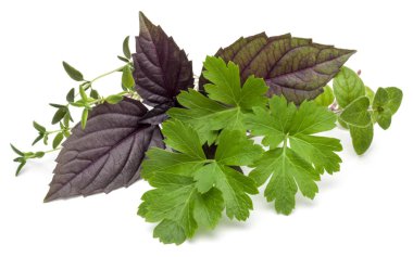 Çeşitli taze ot bırakır 