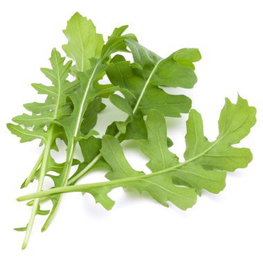 taze rucola yaprakları