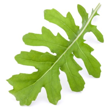 taze rucola yaprakları