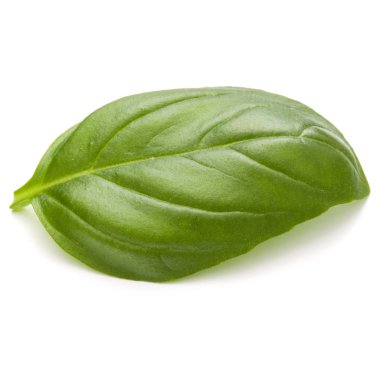 Fesleğen bitki yaprak